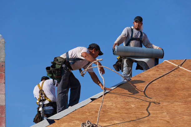 Best Storm Damage Roof Repair  in Pierz, MN
