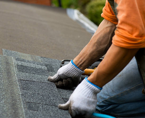 Best Residential Roofing Contractor  in Pierz, MN