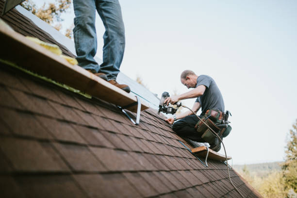 Best Storm Damage Roof Repair  in Pierz, MN