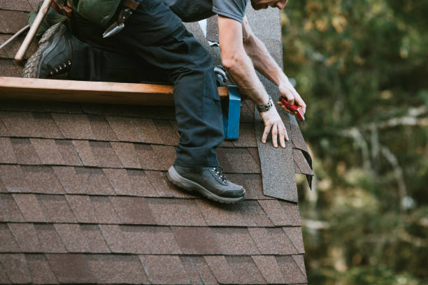 Best Roof Leak Repair  in Pierz, MN